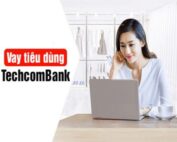 Vay theo lương techcomabnk