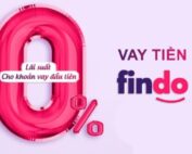 Logo vay online Findo